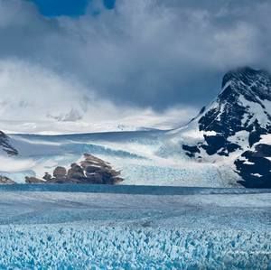 Meet your Posher, Betty